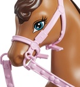 Barbie Caballo