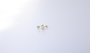Broquel con Zirconia Oro 10K