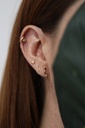 Broquel Serpiente Lisa Grande