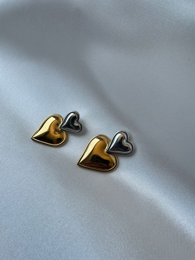 [ACERO] Aretes Latido Bicolor